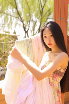 完美的妻子